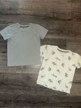 Stitch & Stone Boys Kids Short Sleeve Dino Print and Solid Tee Set